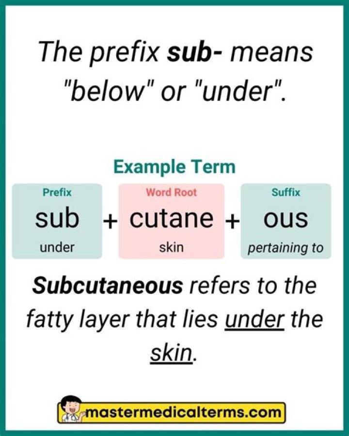 What does sub mean in biology
