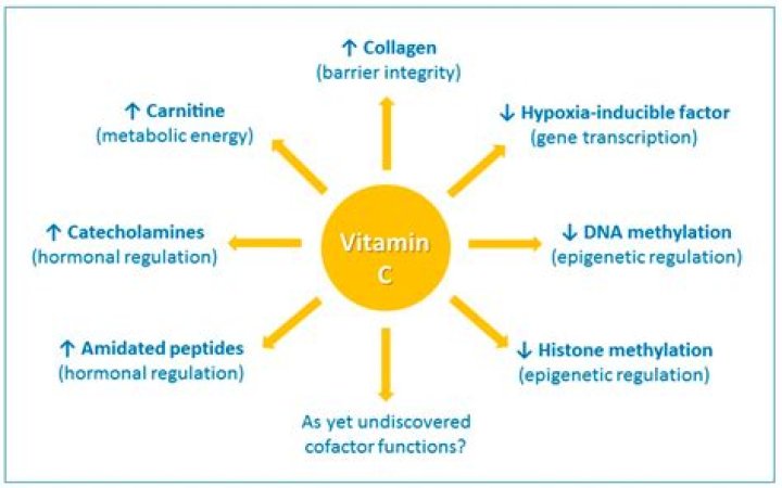 What does vitamin C do to iodine