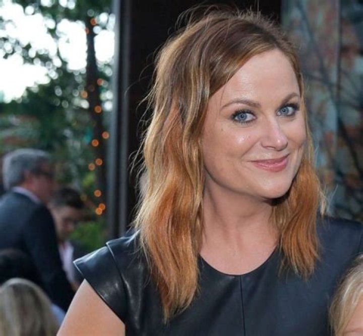 What ethnicity is Amy Poehler