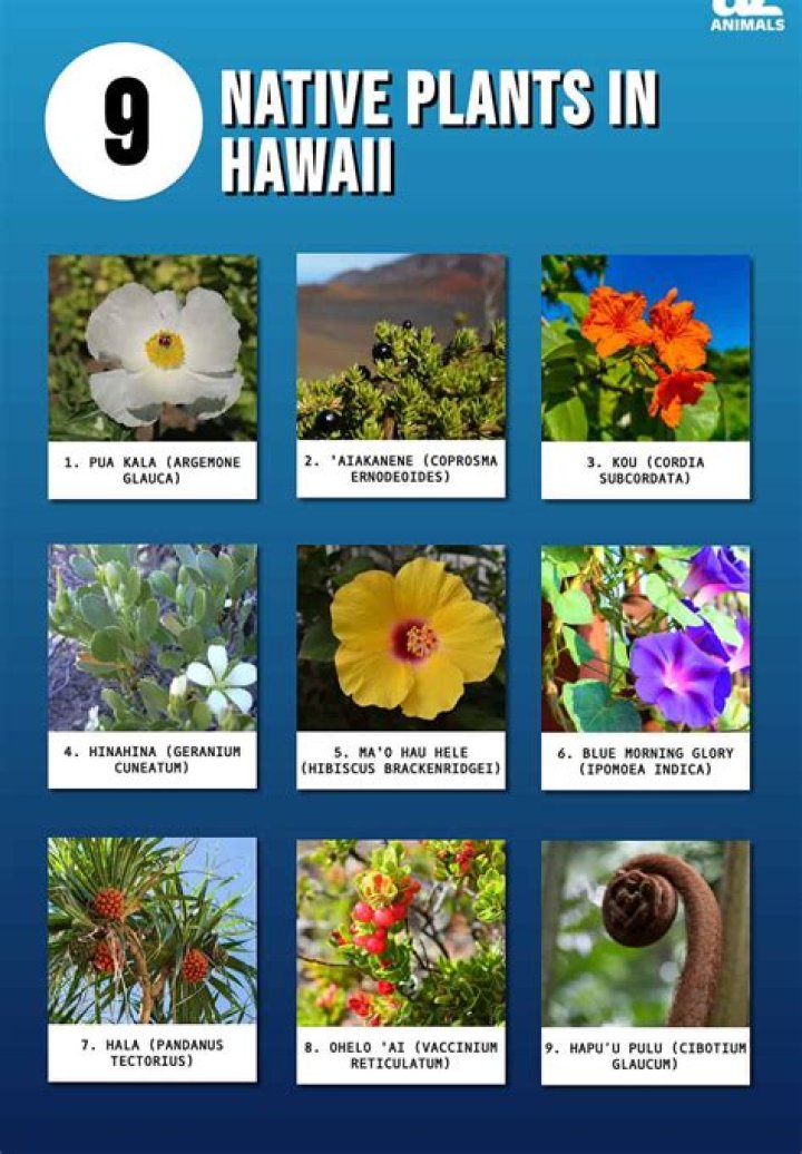 What flowers are native to GA