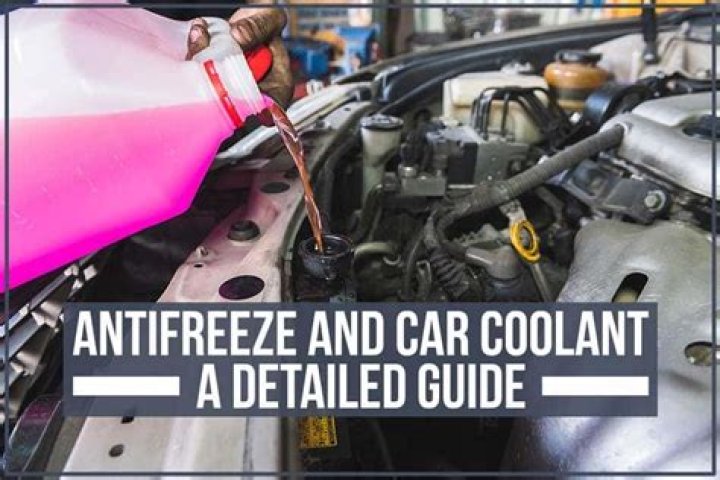 What happens if you put 100 antifreeze in your car