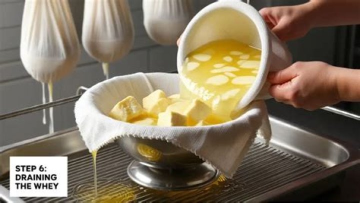 What happens to whey after cheese making