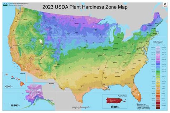 What hardiness zone is NYC in