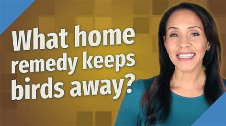 What home remedy keeps birds away