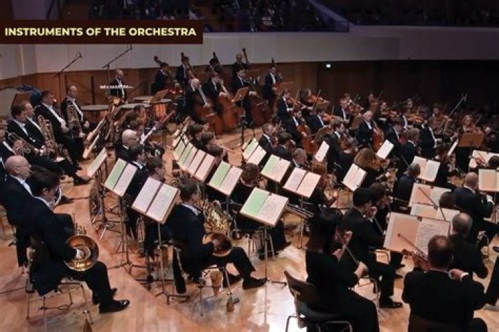 What instruments are played in a orchestra