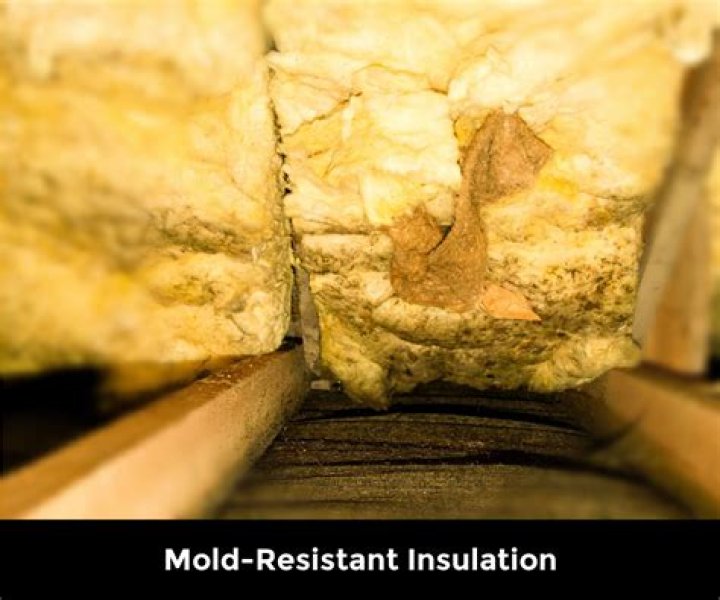 What insulation is mold resistant