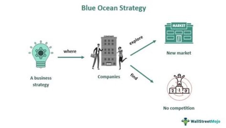 What is a blue ocean business