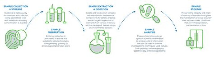 What is a forensic evaluation