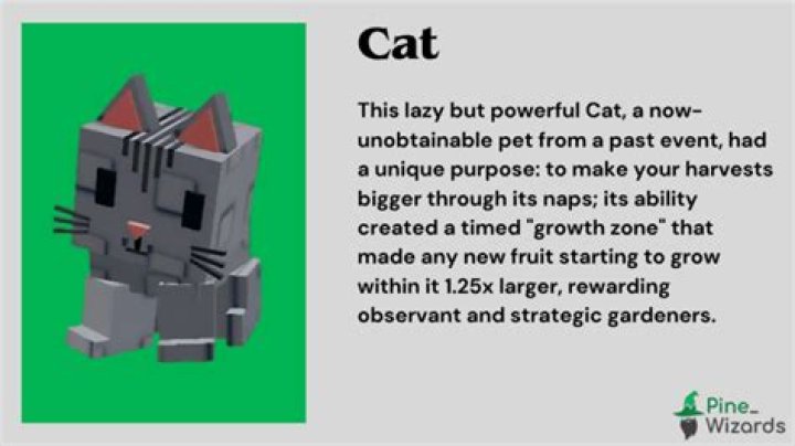 What is a garden cat