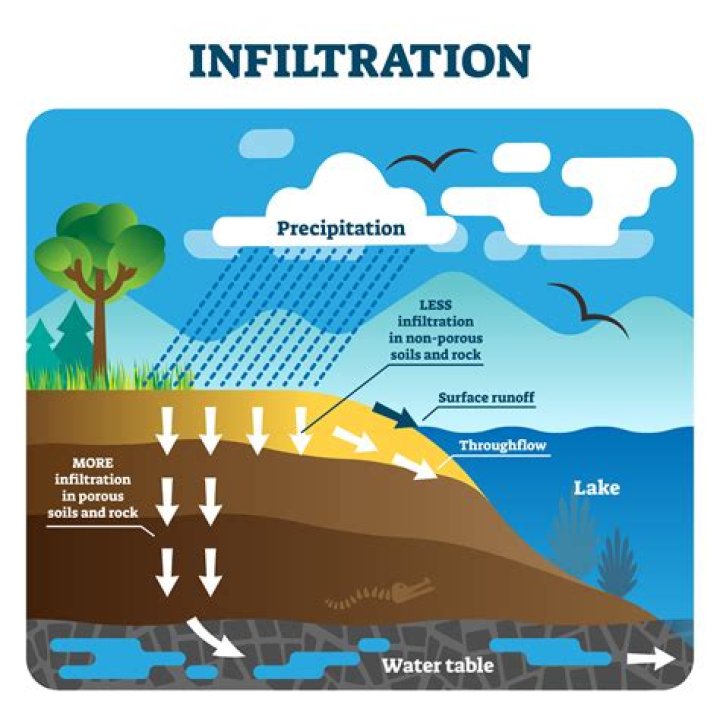 What is a infiltration in science