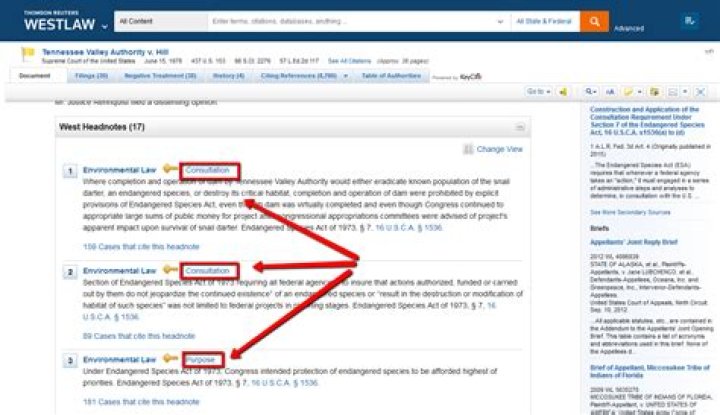 What is a legal headnote