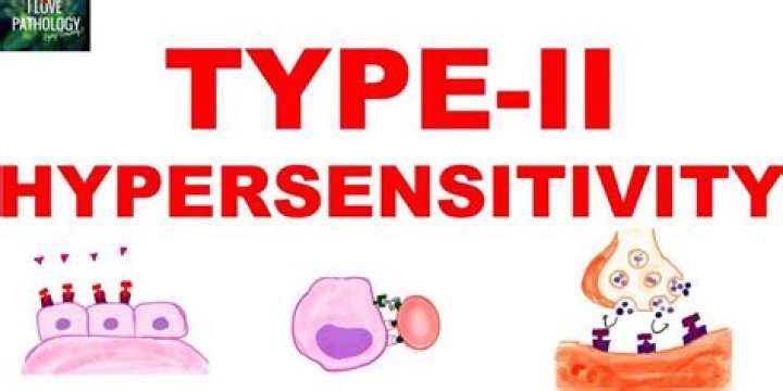 What is a Type 2 hypersensitivity