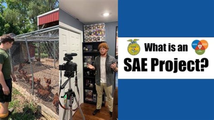 What is an SAE project