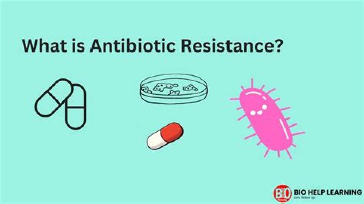 What is antibiotic resistance quizlet