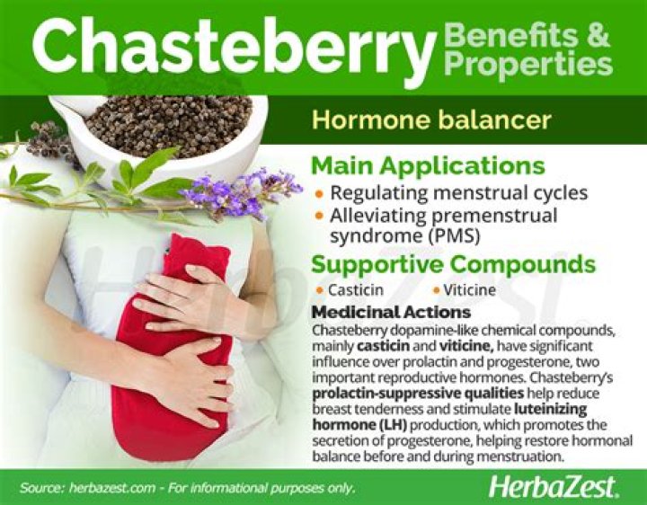 What is chaste berry good for