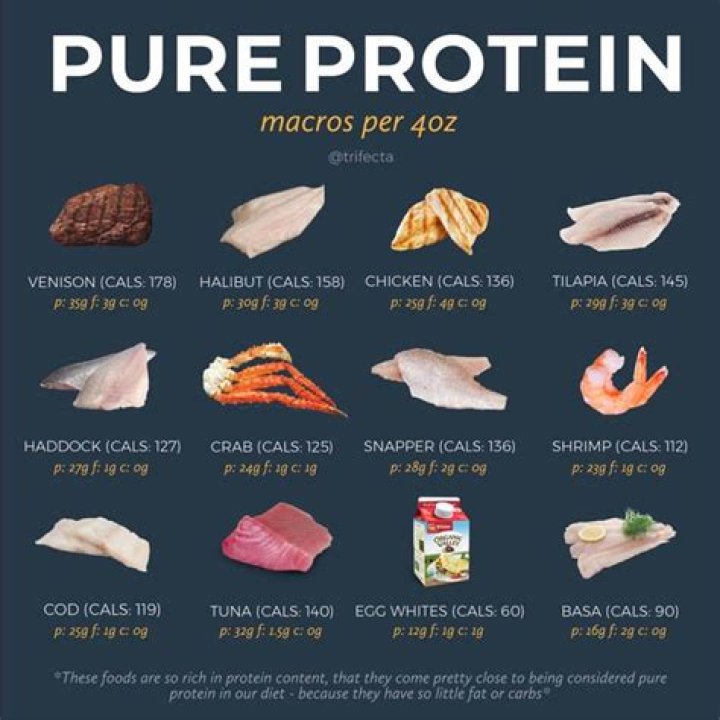 What is considered a protein food