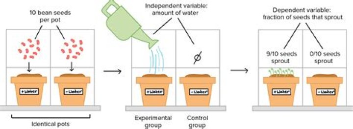 What is controlled experiment