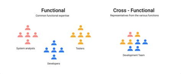 What is cross-functional view