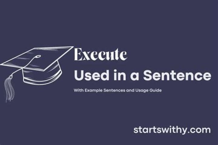 What is execute in a sentence