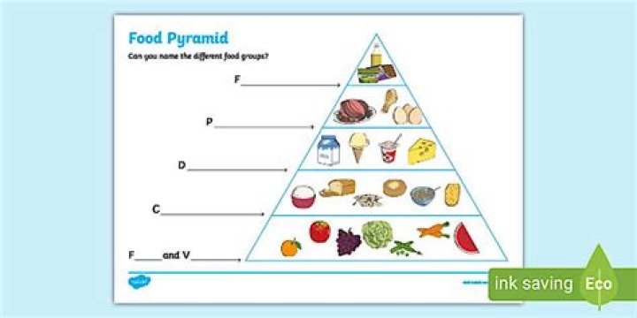 What is food pyramid short answer