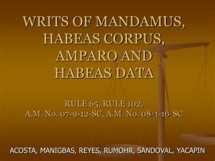 What is habeas corpus mandamus