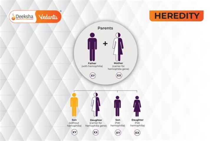 What is heredity and how were the principles of heredity discovered