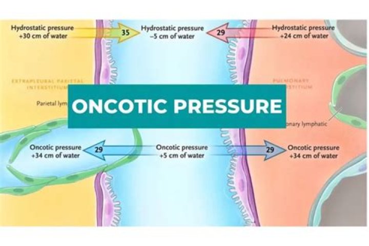 What is high oncotic pressure
