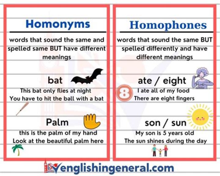 What is homonyms and examples
