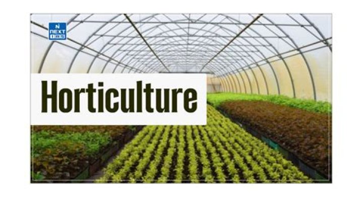 What is horticulture short answer