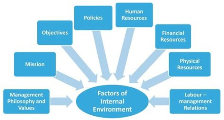 What is internal business perspective