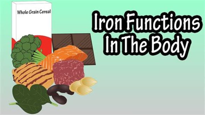 What is iron and its function