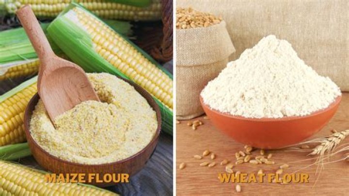What is maize flour made from