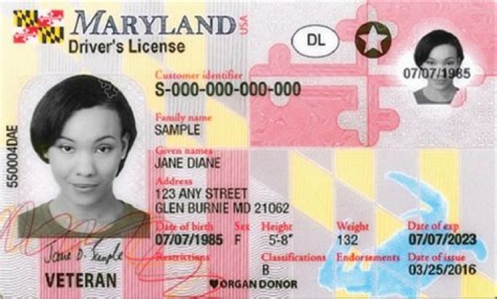 What is Marylands DMV called