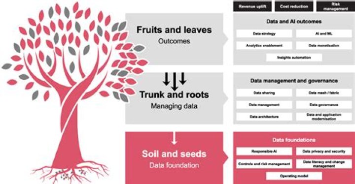 What is meant by data improvement