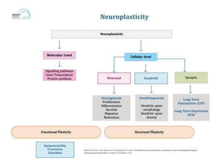 What is Neuroplasty procedure