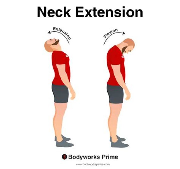 What is normal neck extension