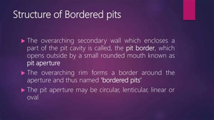 What is Pit How many types of pits are there