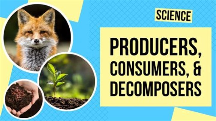 What is producer consumer example