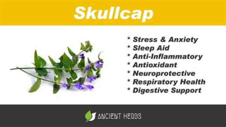 What is skullcap root good for