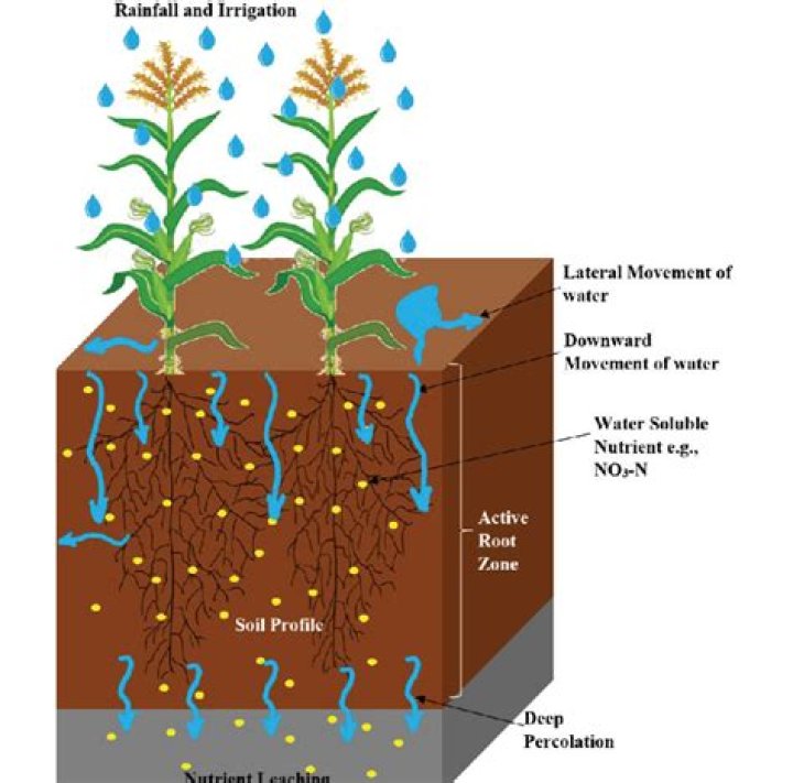 What is soil nutrient leaching