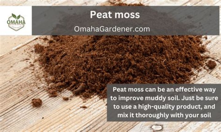 What is soilless medium made from