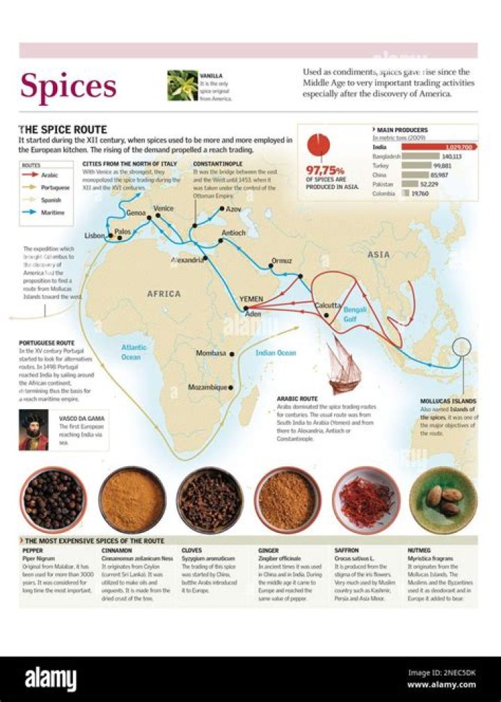 What is spice in world history