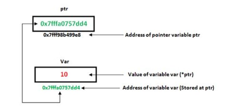 What is stored in a pointer C