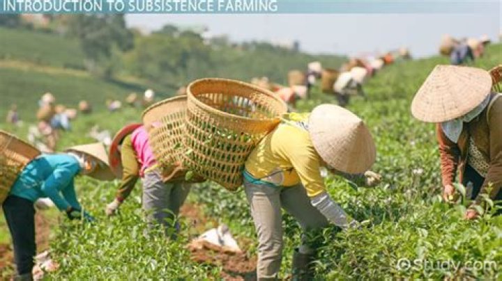 What is subsistence production