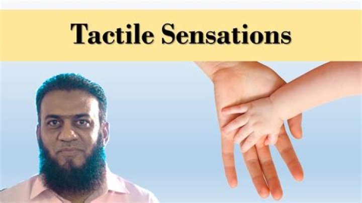 What is tactile sensation example
