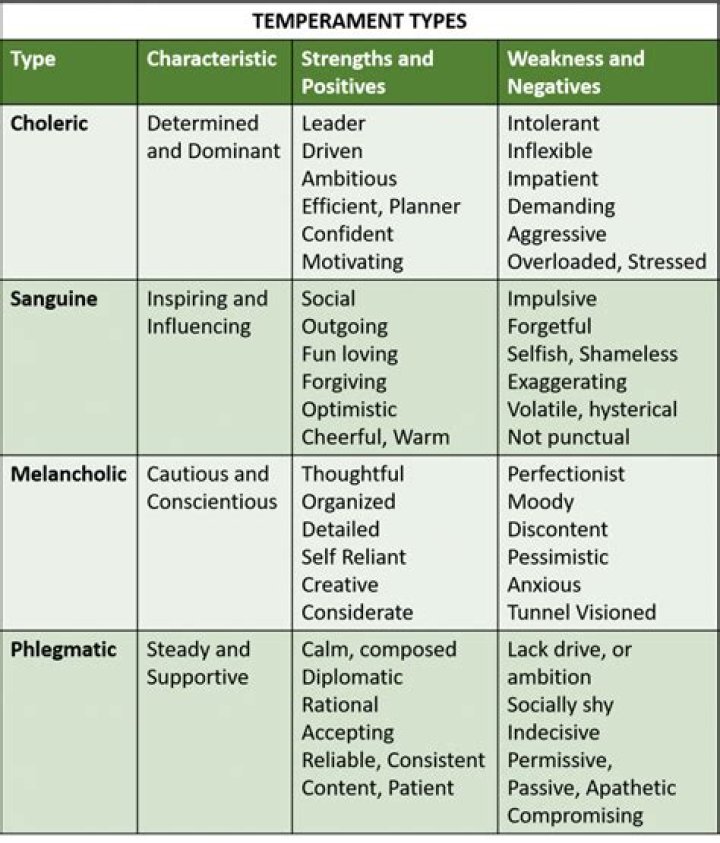 What is temperament psychology