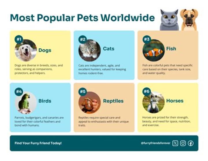 What is the 5 most popular pet