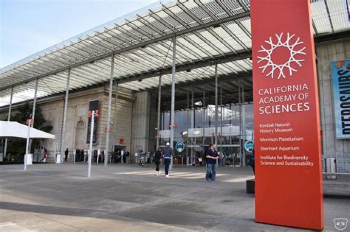 What is the Academy of Science