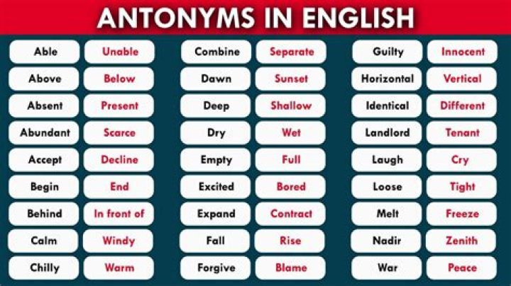 What is the antonym of monster