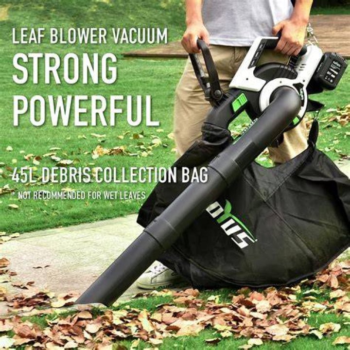 What is the best blower vacuum